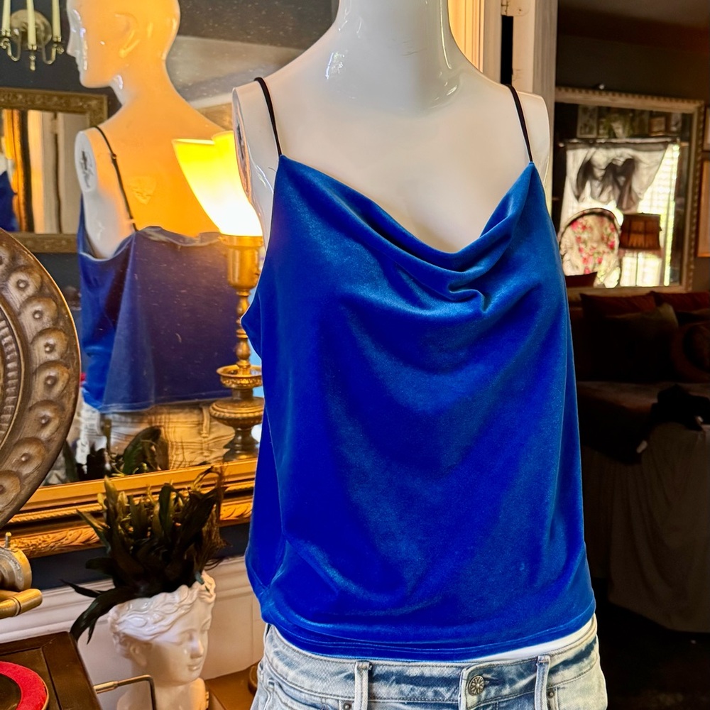 Blue Velvet Women's Top